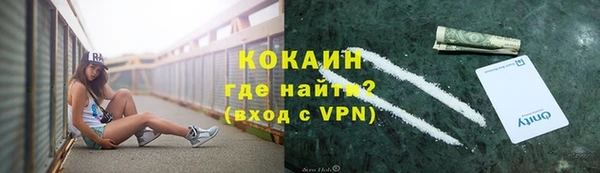 сатива Богородицк
