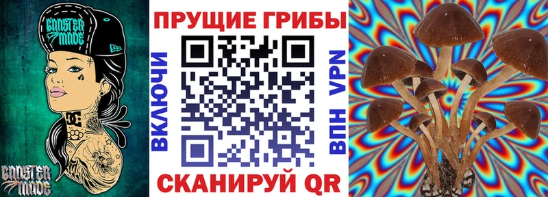 Галлюциногенные грибы ЛСД дарнет шоп Верхний Тагил